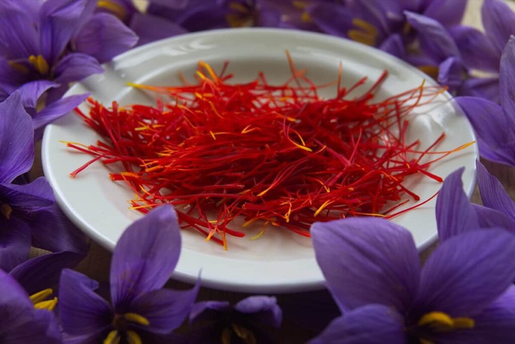 Jar of Kashmir Saffron Farm